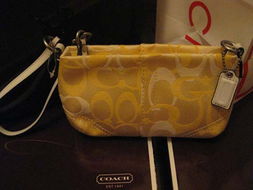 美國代購Coach包 高性價比的時尚選擇與購買指南